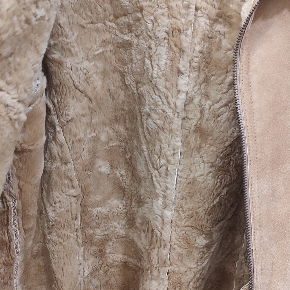 Jacket - Picture 3 of 7